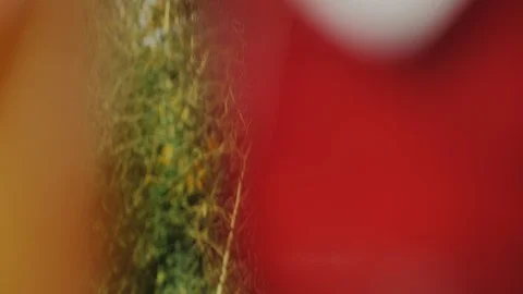 Glass jars of pickled vegetables on the table outdoors Stock Footage 117189736