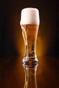 Glass of light beer Stock Photos