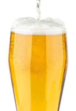 Glass of light beer Stock Photos