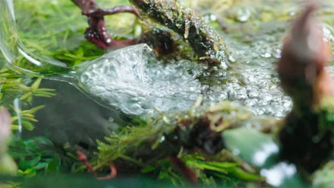 Glass lily pipe filter outflow Vídeo Stock 235005430