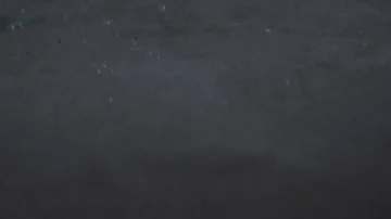 Glass on messy floor Stock Footage 85843810