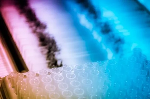 Glass microscope slide Foto stock