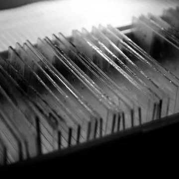 Glass microscope slide Stock-Fotos