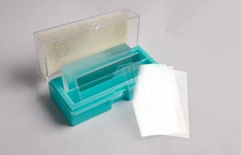 Glass Microscope Slides in Teal Case 스톡 사진
