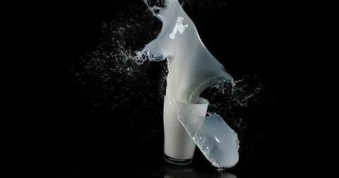 Glass for Milk exploding against Black Background 写真素材