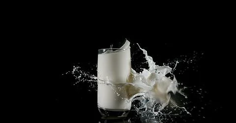 Glass of Milk Exploding against White Background Foto stock