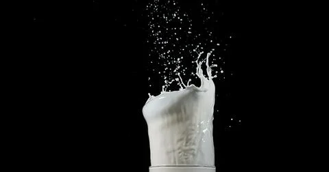 Glass of Milk Exploding against White Background Stock Photos