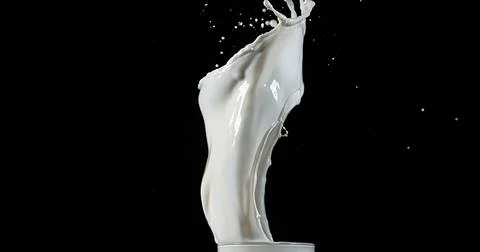 Glass of Milk Exploding against White Background Stock Photos