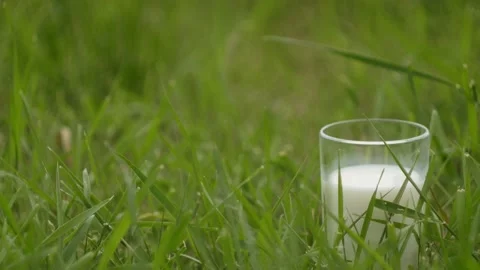Glass of milk stand at the grass. Video stock 131663839