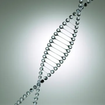 Glass model of the dna molecule Stock Illustration