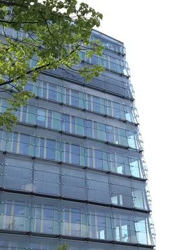 Glass office building facade with rows of windows and green tree branches in Foto stock