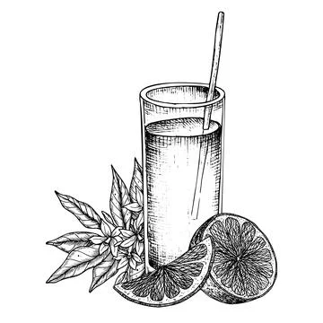 Glass of Orange Fruit Juice. Vector hand drawn illustration of fresh citrus Illustrazione stock