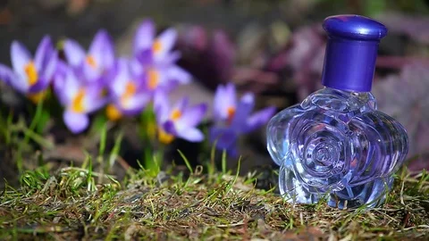 Glass Perfume Bottle Spring crocus Flowers 動画素材 88397644