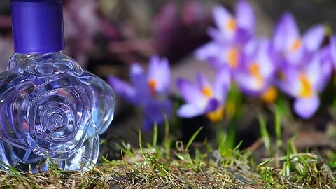 Glass Perfume Bottle Spring crocus Flowers 動画素材 88397647