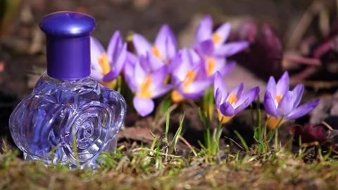 Glass Perfume Bottle Spring crocus Flowers 動画素材 88397665