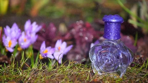 Glass Perfume Bottle Spring crocus Flowers 動画素材 88402419