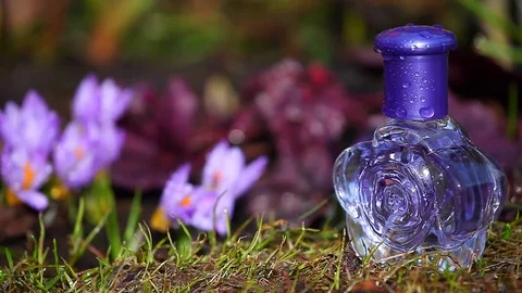 Glass Perfume Bottle Spring crocus Flowers Stockbeeldmateriaal 88402503