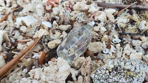 Glass perfume bottle trash washed ashore onto pebble beach from ocean in Fiji Vidéo 344023822