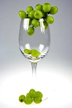 Glass Stock Photos