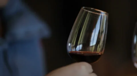 Glass of red wine Vídeo Stock 34283148