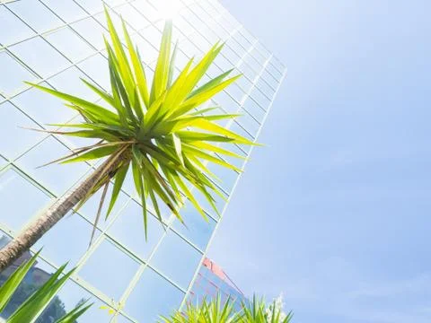 Glass reflection colored Stock Photos