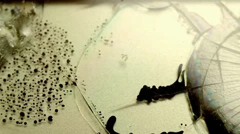 Glass / Screen / LCD break shattering Stock Footage 21737268