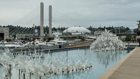 Glass sculptures in water with cable-stayed bridge background Stock Footage 339118002