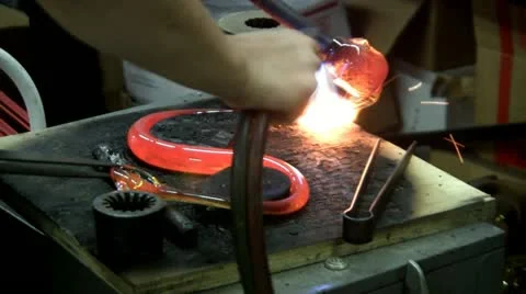 Glass snake; 10 Stock Footage 12335151