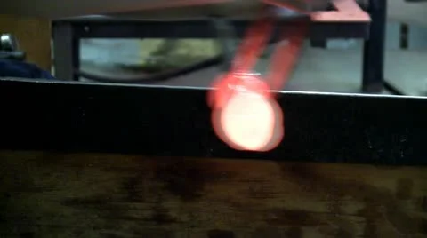 Glass snake; 2 Stock-Footage 12334245