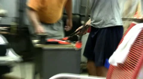 Glass snake; 3 Stock Footage 12334369