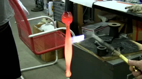 Glass snake; 5 Stock Footage 12334606