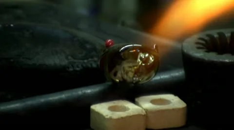 Glass snake; 8 Stock Footage 12334751