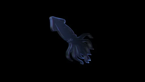 Glass squid rotating on black background Stock Footage 318145716