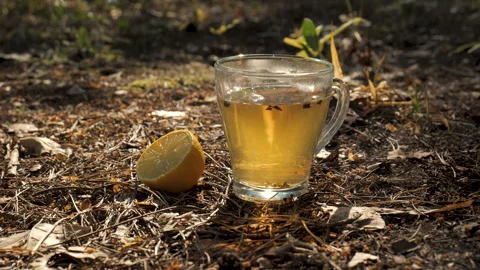 Glass of Tea With Lemon Wedge on Forest Floor Stock Footage 277265410