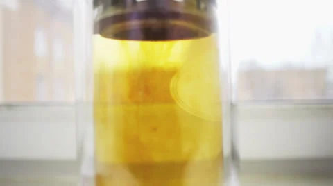 Glass teapot with brewing tea Video stock 37731097