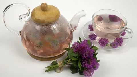 Glass teapot with tea of red clover flowers Stock Footage 155548643