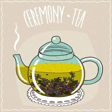 Glass teapot with tea with thyme Stock Illustration