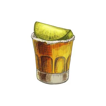 Glass tequila with slice lime. Vector vintage hatching Stock Illustration