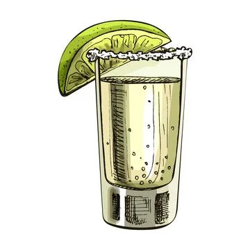 Glass tequila with slice lime. Vector vintage hatching Stock Illustration