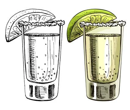 Glass tequila with slice lime. Vector vintage hatching Stock Illustration