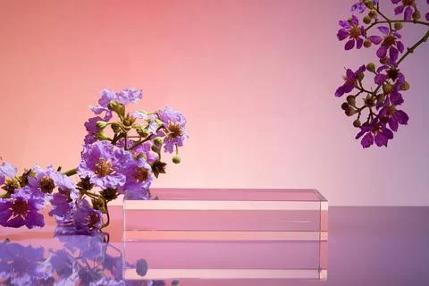 A glass transparent podium in rectangle shape for product advertising stage b Stock Photos