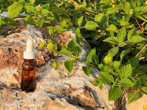 Glass transparent serum bottle on a stone and green leafs Fotos Stock
