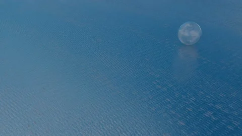 A glass transparent sphere with a texture rolls on a blue floor. looped animatio Stock Footage 175911285