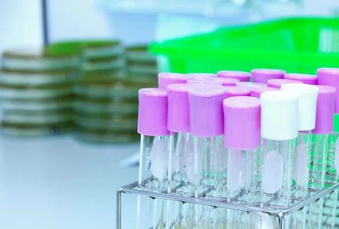 Glass tubes on table in laboratory Stock Photos