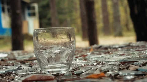 A glass of vodka Stock Footage 81701469