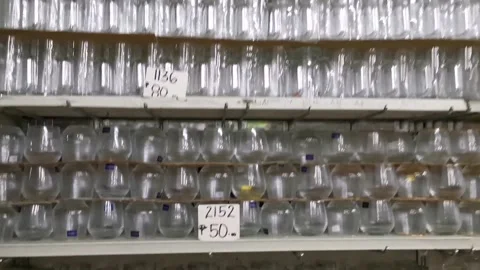 Glass Ware Store in Manila Stock Footage 159291255