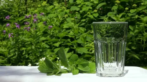 Glass of water Stock Footage 11222562