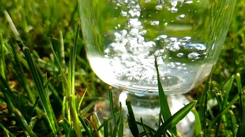 Glass of water on the grass Stock Footage 89455830