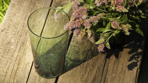 Glass of water with mint bunch Stock Footage 8553587