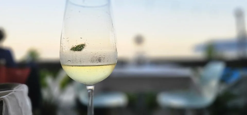 Glass of white wine on a blurred background Photos